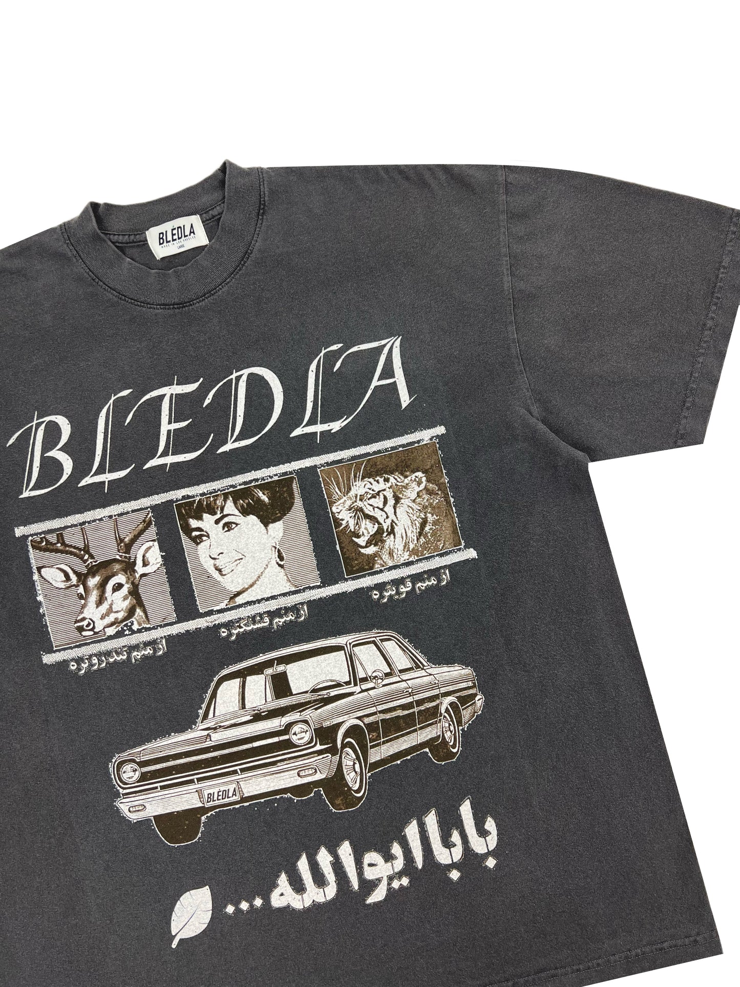 Bledla Shirt-Bled T-shirt-Persian Poster-Iran Shirt-Vintage Tee-Vintage Wash Shirt-Streetwear Graphic Tee-Farsi Shirt