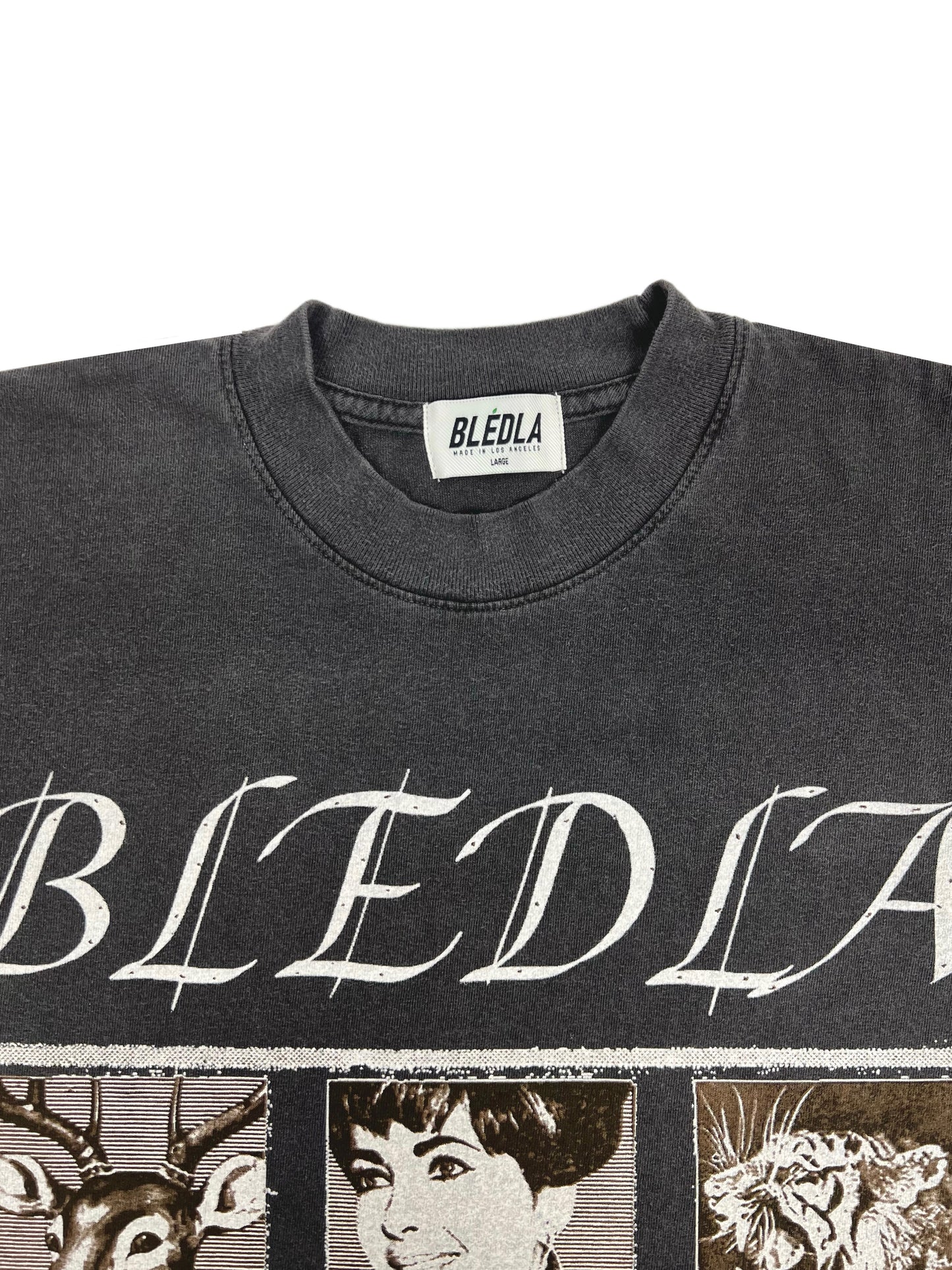 Bledla Shirt-Bled T-shirt-Persian Poster-Iran Shirt-Vintage Tee-Vintage Wash Shirt-Streetwear Graphic Tee-Farsi Shirt