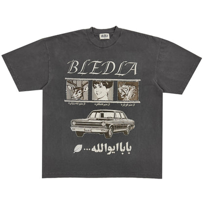 Bledla Shirt-Bled T-shirt-Persian Poster-Iran Shirt-Vintage Tee-Vintage Wash Shirt-Streetwear Graphic Tee-Farsi Shirt